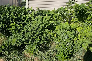 2269 S Clear Creek Rd, Nibley, UT 84321 - Photo 22