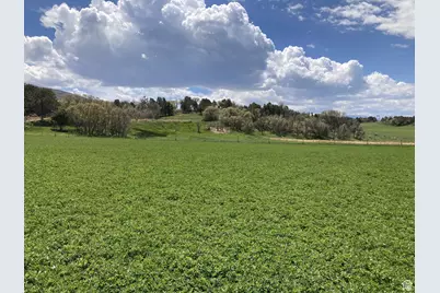 900 N Clements, Fairview, UT 84629 - Photo 4