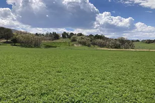 900 N Clements, Fairview, UT 84629 - Photo 4