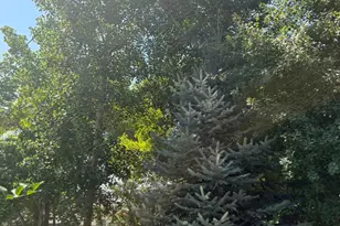 150 W 200 St N, Duchesne, UT 84021 - Photo 32