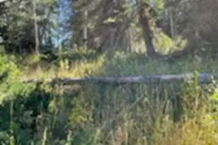 [Address not provided], Heber City, UT 84032 - Photo 14