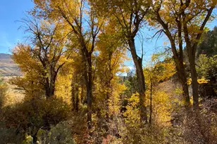 14272 S U S Hwy 89, Birdseye, UT 84629 - Photo 38