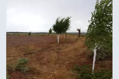 [Address not provided], Duchesne, UT 84021 - Photo 4