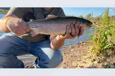 [Address not provided], Monroe, UT 84754 - Photo 6