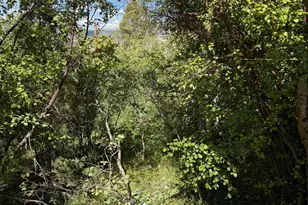 1001 Juniper Cir, Tabiona, UT 84072 - Photo 58