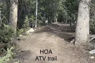 49 N Pine Creek Rd E, Mount Pleasant, UT 84647 - Photo 46