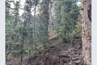 49 N Pine Creek Rd E, Mount Pleasant, UT 84647 - Photo 12