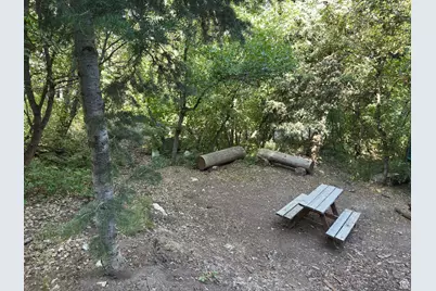 49 N Pine Creek Rd E, Mount Pleasant, UT 84647 - Photo 4