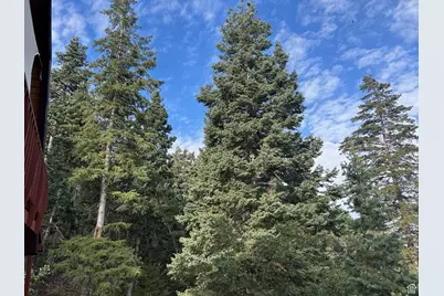 49 N Pine Creek Rd E, Mount Pleasant, UT 84647 - Photo 6