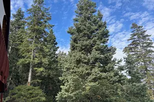 49 N Pine Creek Rd E, Mount Pleasant, UT 84647 - Photo 6