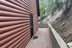 49 N Pine Creek Rd E, Mount Pleasant, UT 84647 - Photo 10