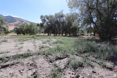 1314 E Victor Ln, Draper, UT 84020 - Photo 6