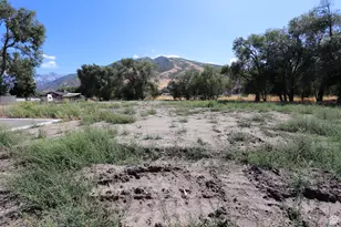 1314 E Victor Ln, Draper, UT 84020 - Photo 1