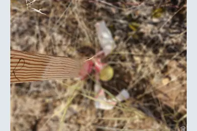 19010 N 11300 E, Mount Pleasant, UT 84647 - Photo 4