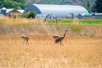 364 W 3000 S, Daniel, UT 84032 - Photo 48