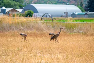 364 W 3000 S, Daniel, UT 84032 - Photo 48