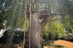 1243 Hudson St, Ogden, UT 84404 - Photo 24