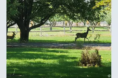 1495 E 2300 N, North Logan, UT 84341 - Photo 22