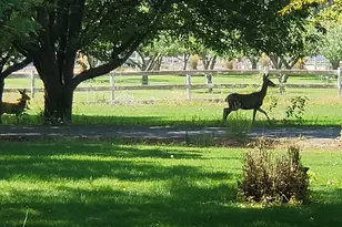 1495 E 2300 N, North Logan, UT 84341 - Photo 22