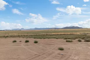 3145 W Browns Meadow Rd Meadow, Eagle Mountain, UT 84013 - Photo 62