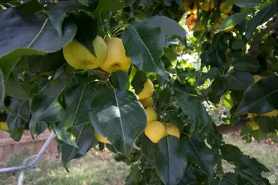 399 N 3425 W, West Point, UT 84015 - Photo 20