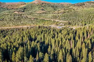 12423 E Camp Tuttle Rd S, Brighton, UT 84121 - Photo 40