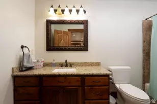 687 S 2080 E, Springville, UT 84663 - Photo 62