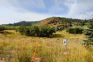 2514 S Timber Lakes Dr, Heber City, UT 84032 - Photo 1