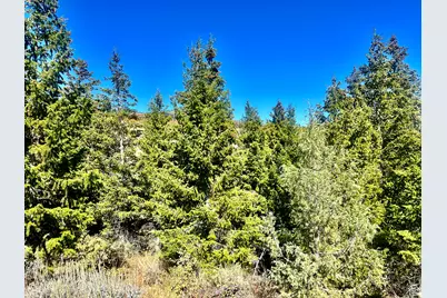 1745 W Cedar Ridge Dr #E 52, Garden City, UT 84028 - Photo 4