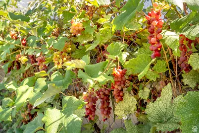 4571 W Hillside Dr, Vernal, UT 84078 - Photo 42