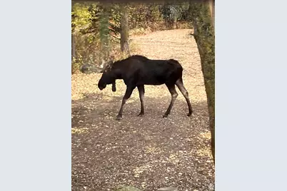 26 Birch Creek Dr #D26, Fairview, UT 84629 - Photo 58