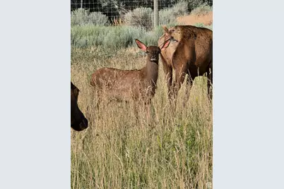 442 E Valley View Ln, Monroe, UT 84754 - Photo 86