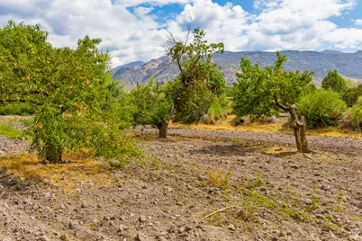 442 E Valley View Ln, Monroe, UT 84754 - Photo 50