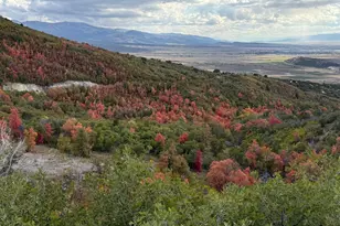 1 Archies Hideaway, Fairview, UT 84629 - Photo 1