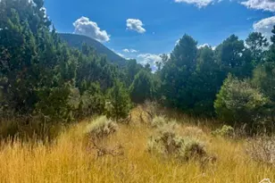 2102 S High Cedar View Dr, Cedar City, UT 84720 - Photo 1