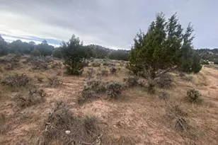 45711 W Colt Rd, Fruitland, UT 84027 - Photo 34