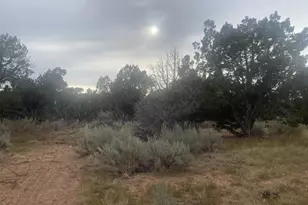 45711 W Colt Rd, Fruitland, UT 84027 - Photo 28