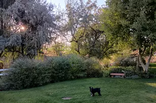 4125 W 12000 S, Payson, UT 84651 - Photo 8