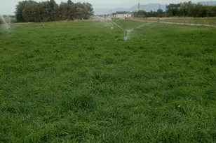 4125 W 12000 S, Payson, UT 84651 - Photo 38