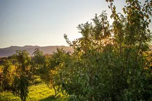 11448 W Hwy 6, Goshen, UT 84633 - Photo 72