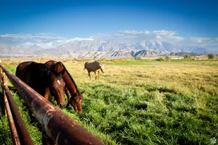11448 W Hwy 6, Goshen, UT 84633 - Photo 4