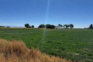 7525 N 4250 W, Delta, UT 84624 - Photo 44