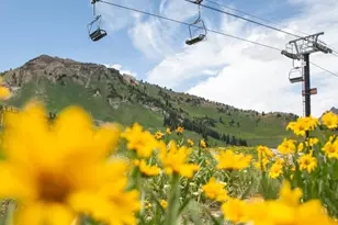 286 W Eagles Roost St, Brian Head, UT 84719 - Photo 20