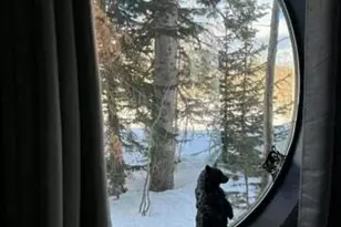 286 W Eagles Roost St, Brian Head, UT 84719 - Photo 12