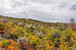 1878 S Remuda Run Ct, Heber City, UT 84032 - Photo 6