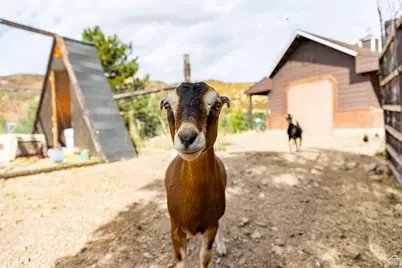 1801 N Fort Canyon Rd, Alpine, UT 84004 - Photo 70