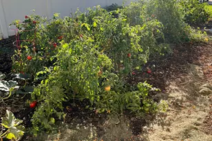 1795 S 225 W, Perry, UT 84302 - Photo 64