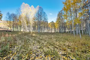 4631 Falcon Cir, Heber City, UT 84032 - Photo 30