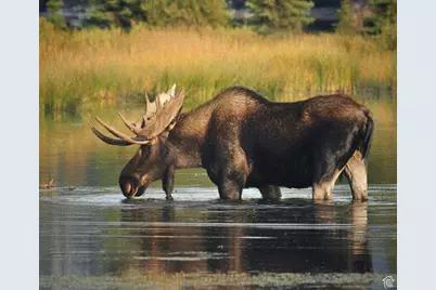 4631 Falcon Cir, Heber City, UT 84032 - Photo 4