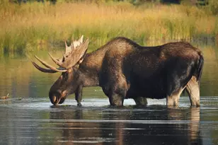 4631 Falcon Cir, Heber City, UT 84032 - Photo 4